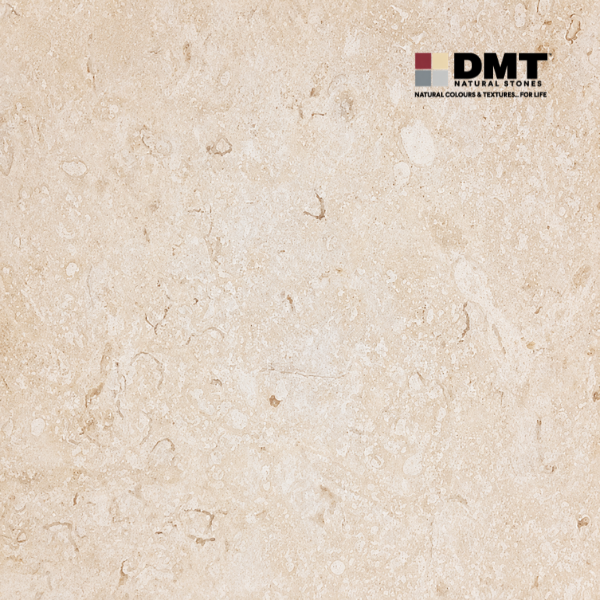 Shellstone-Limestone