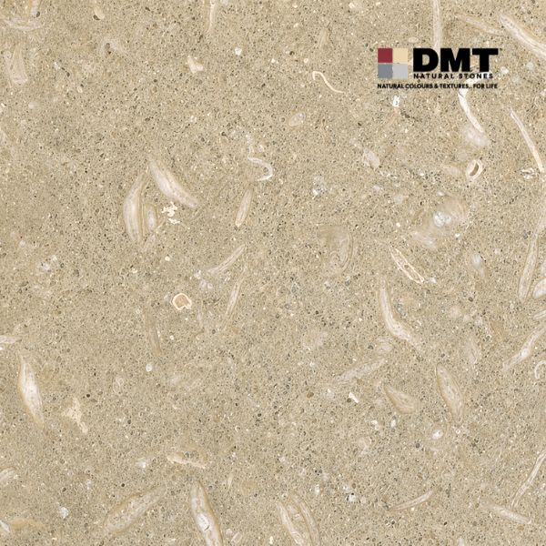 Seagrass-Limestone